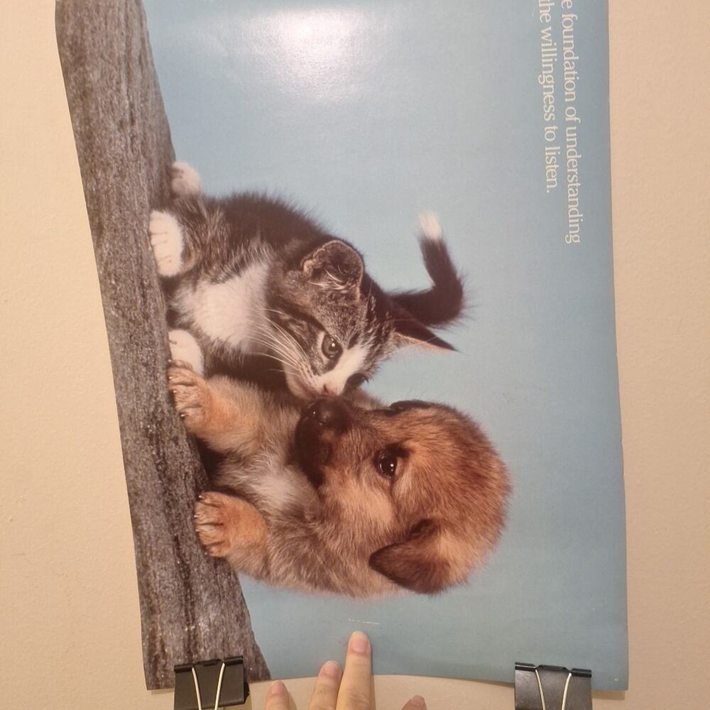 Kitten Poster 1987 Argus, Kitten And Dog. The Foundation Of Understanding